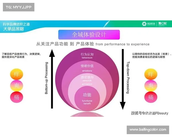 领先品牌如何通过创新战略和品牌定位塑造独特市场形象并赢得消费者青睐